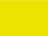 Fluorescent Yellow 21_605.jpg