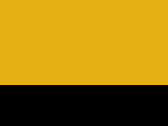 Sport Yellow/Black 22_666.jpg