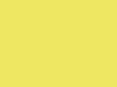 Fluo Yellow 45_605.jpg