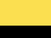 Yellow/Black 51_667.jpg