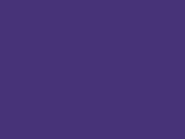 Purple 60_349.jpg