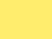 Bright Yellow 64_603.jpg