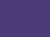 Purple 69_349.jpg