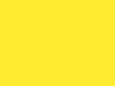 Yellow 69_600.jpg